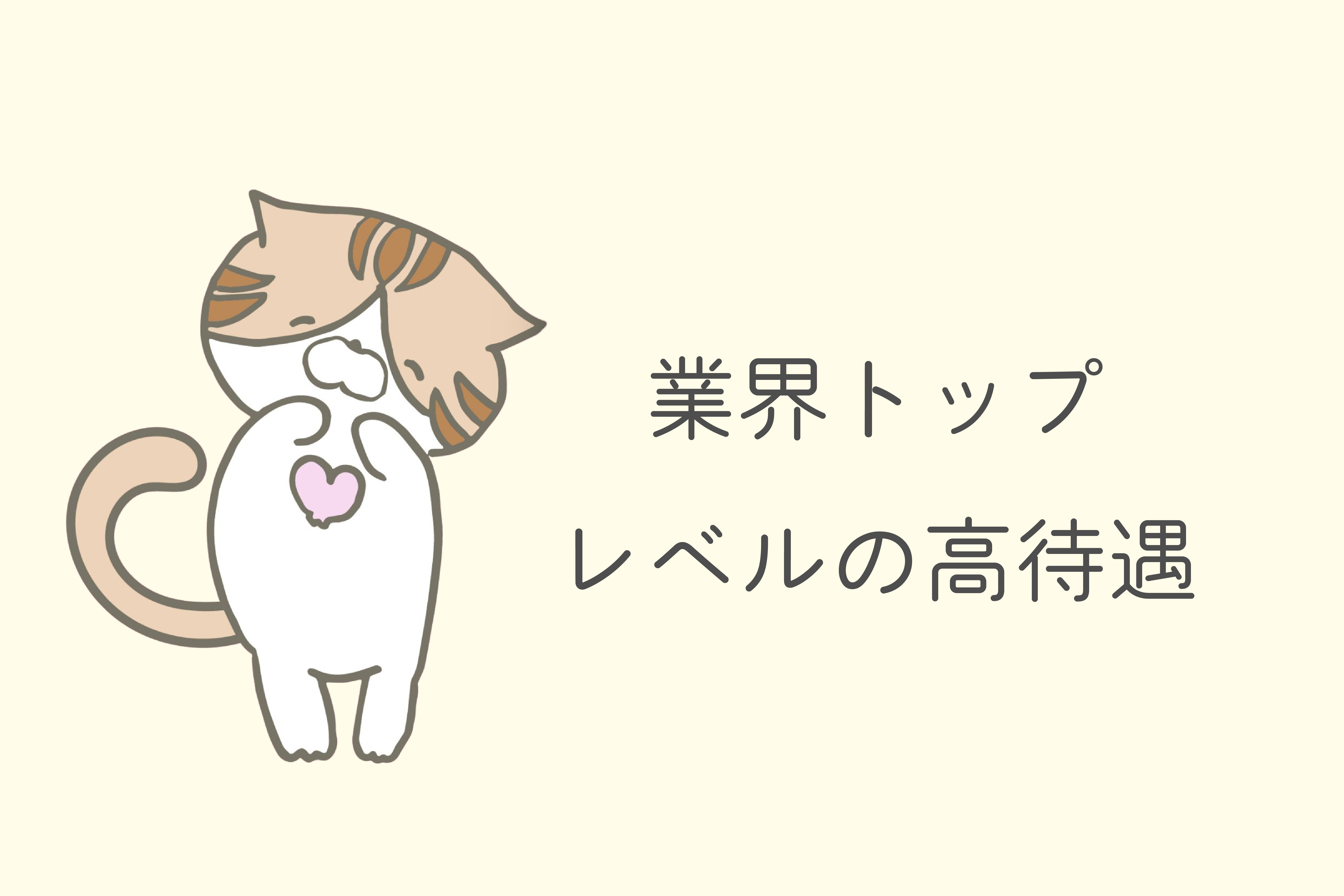 ライブチャット代理店